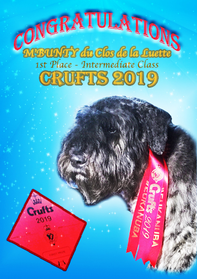 BUNTY du Clos de la luette Cruft COPYRIGHT